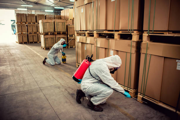 Professional Pest Control in Two Harbors, MN