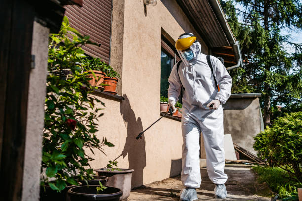 Best Termite Control Services  in Two Harbors, MN