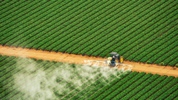 Best Commercial Pest Control Services  in Two Harbors, MN