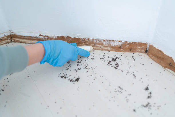 Best Pest Prevention Services  in Two Harbors, MN