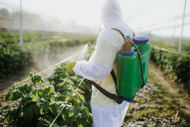 Best Best Pest Control Companies  in Two Harbors, MN
